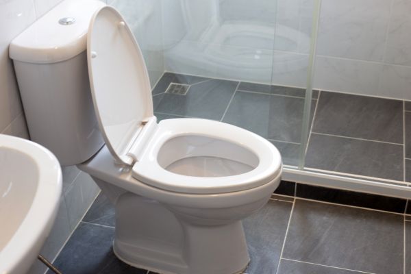 Cost of Toilet Replacement in Mill Valley