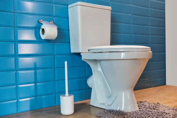 Cost of Toilet Tank Repair in Mill Valley