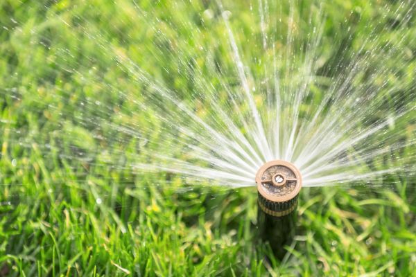 Cost of Spigot Installation in Mill Valley