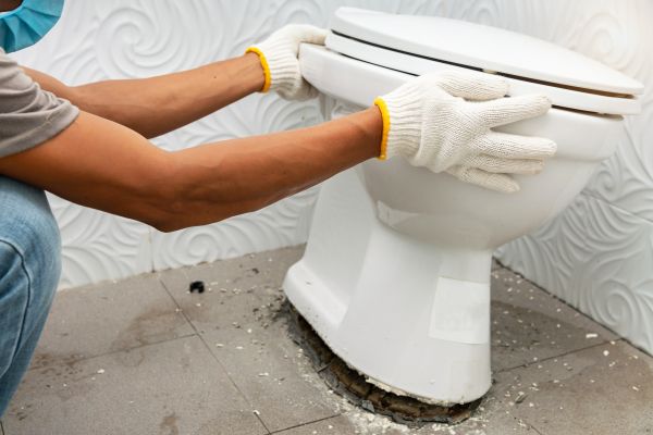 Cost of Toilet Removal in Mill Valley
