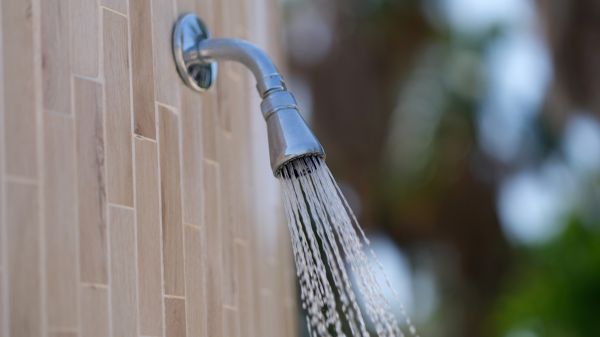 Cost of Showerhead Repair in Mill Valley