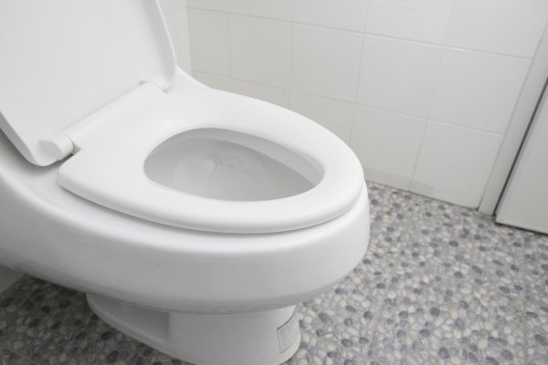 Cost of New Toilet Installation in Mill Valley