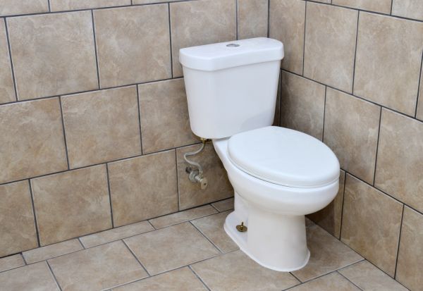Cost of Basement Toilet Installation in Mill Valley