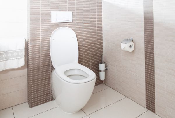 Cost of Toilet Plumbing Installation in Mill Valley